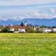 Seriöser Immobilienmakler Bad Aibling: Bad Aibling mit Blick auf die Berge